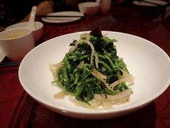 西洋菜拌竹耳-金鼎轩·滋养小餐馆(联想桥店)