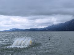 -滇池海埂公园