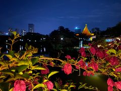 -深圳龙潭公园