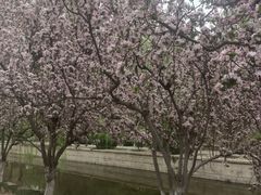 -元大都城垣遗址公园