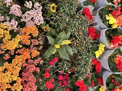 -香炉礁家具市场