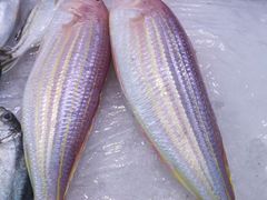 红衫鱼-茂港柏香(侨港路店)