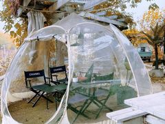 -安德鲁户外烧烤帐篷营地(马泉营店)