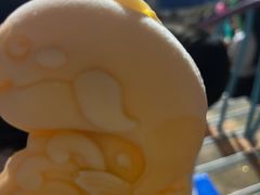 -大连圣亚海洋世界