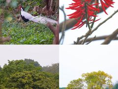 -福建鲤鱼洲酒店