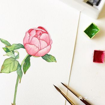 小清新的画作真让人无法拒绝