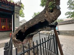 -保定直隶总督署博物馆