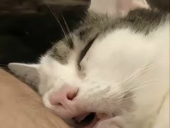 -梧州双钱龟苓膏(丽港航母店)