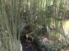 -竹吟山房