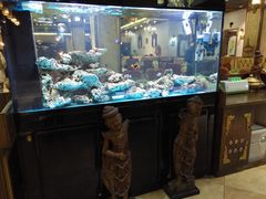 -金象湾泰国餐厅(华林路店)