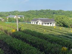 -中国茶叶博物馆(双峰馆区)