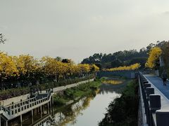 -长洲岛