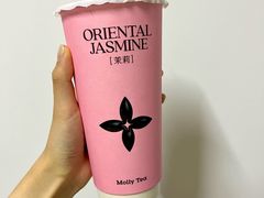 -茉莉奶白(北京新中关店)