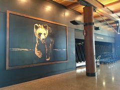 -纽瓦克自由国际机场