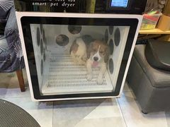 -久久宠物(河东万达店)