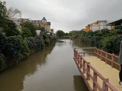 -百万葵园