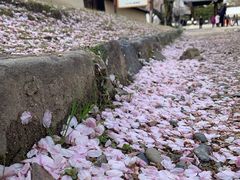 -醍醐寺