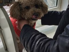 -邢大夫动物医院