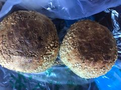 -老回回饺子馆(海洋馆店)