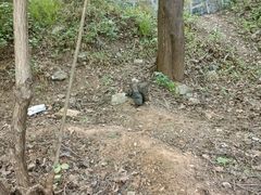 -佛慧山
