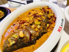 -阿五黄河大鲤鱼(英协路店)