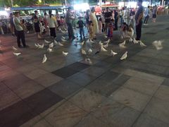 -江燕路万科里