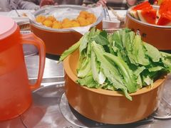 -龍歌自助小火锅(市北台东利群店)