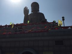 -龙口南山旅游景区