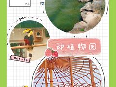 -临沂动植物园