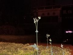 -绿岛汤泉韩式休闲会所