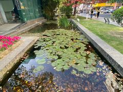 -南通濠河风景名胜区