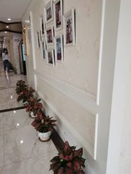 -雪儿海蒂·女性私密整形专科