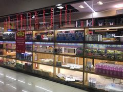-大玩家超乐场(河东万达广场店)