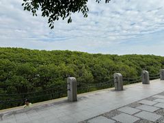 -福田红树林生态公园