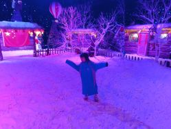-圣名游乐城冰雪大世界