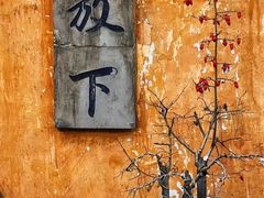 -西园寺素食(西园弄戒幢律寺店)