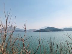 -望湖烤鱼