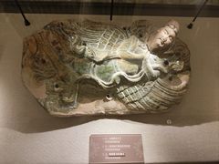 -呼和浩特博物馆