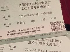 -合肥大剧院