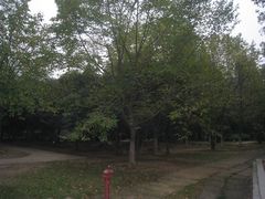 环境-中南财经政法大学(首义校区)