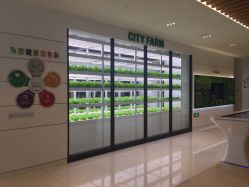 -安利上海体验馆