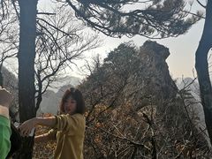 -大连天门山国家森林公园