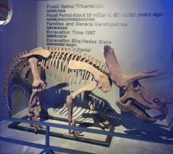 -恐龙探索乐园(磁器口店)