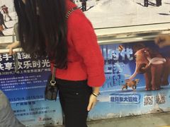 -正佳冰河湾真冰滑冰场