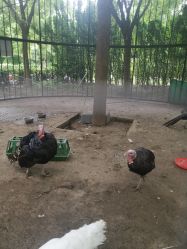 -优沃得自然教育农场·冰雪乐园·生日会·研学