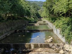 -广州白江湖森林公园