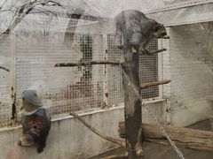 -J Create城市露营咖啡·简餐·宠物(上海动物园店)