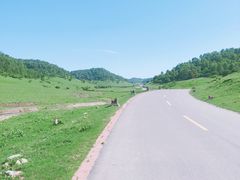 -关山草原