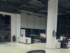 -TESLA 特斯拉(深圳观澜特斯拉直营钣喷中心)