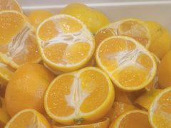 -蒙都43°9羊火锅·赤峰美食(宁城店)